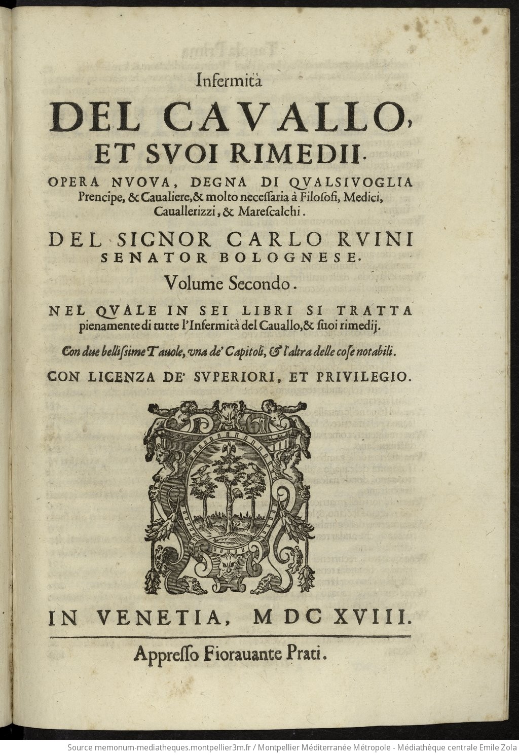 Anatomia del cavallo infermita e suoi rimedii : 2. Volume secondo nel quale in sei libri si tratta pienamente di tutte l'infermità del cavallo & suoi rimedii... - vue 1 - page NP