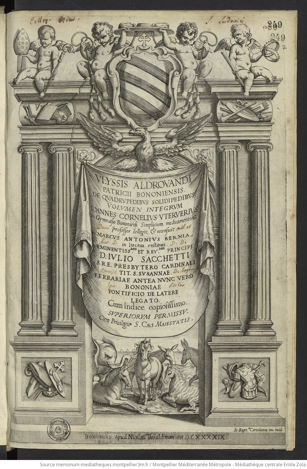 Ulyssis Aldrovandi... De Quadrupedis solidipedibus volumen integrum. Joannes Cornelius Uterverius... collegit et recensvit. Marcus Antonius Bernia in lucem restituit. Cum indice copiosissimo - vue 7 - page NP