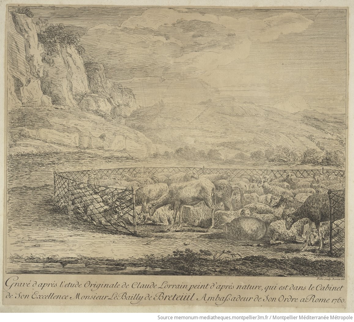 Le parc à moutons