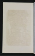 vue 22