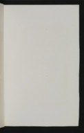 vue 31