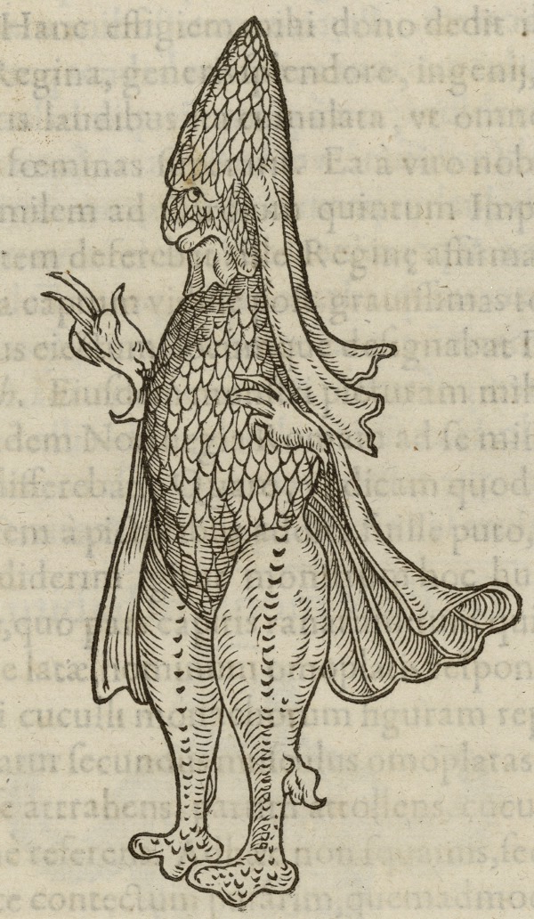 gravure noir et blanc poisson anthropomorphe