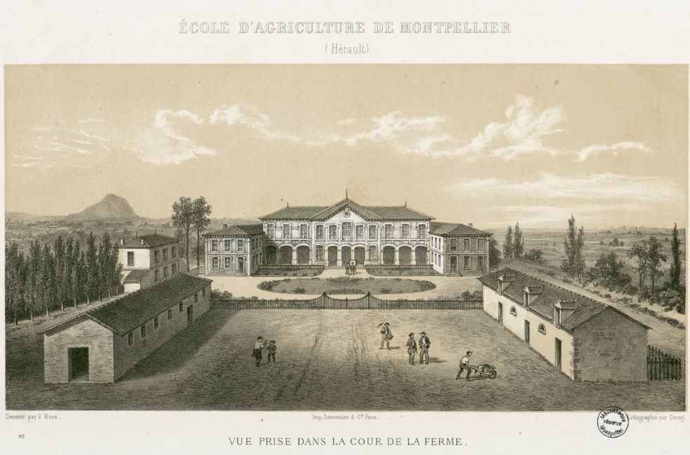 estampe école d'agriculture de Montpellier