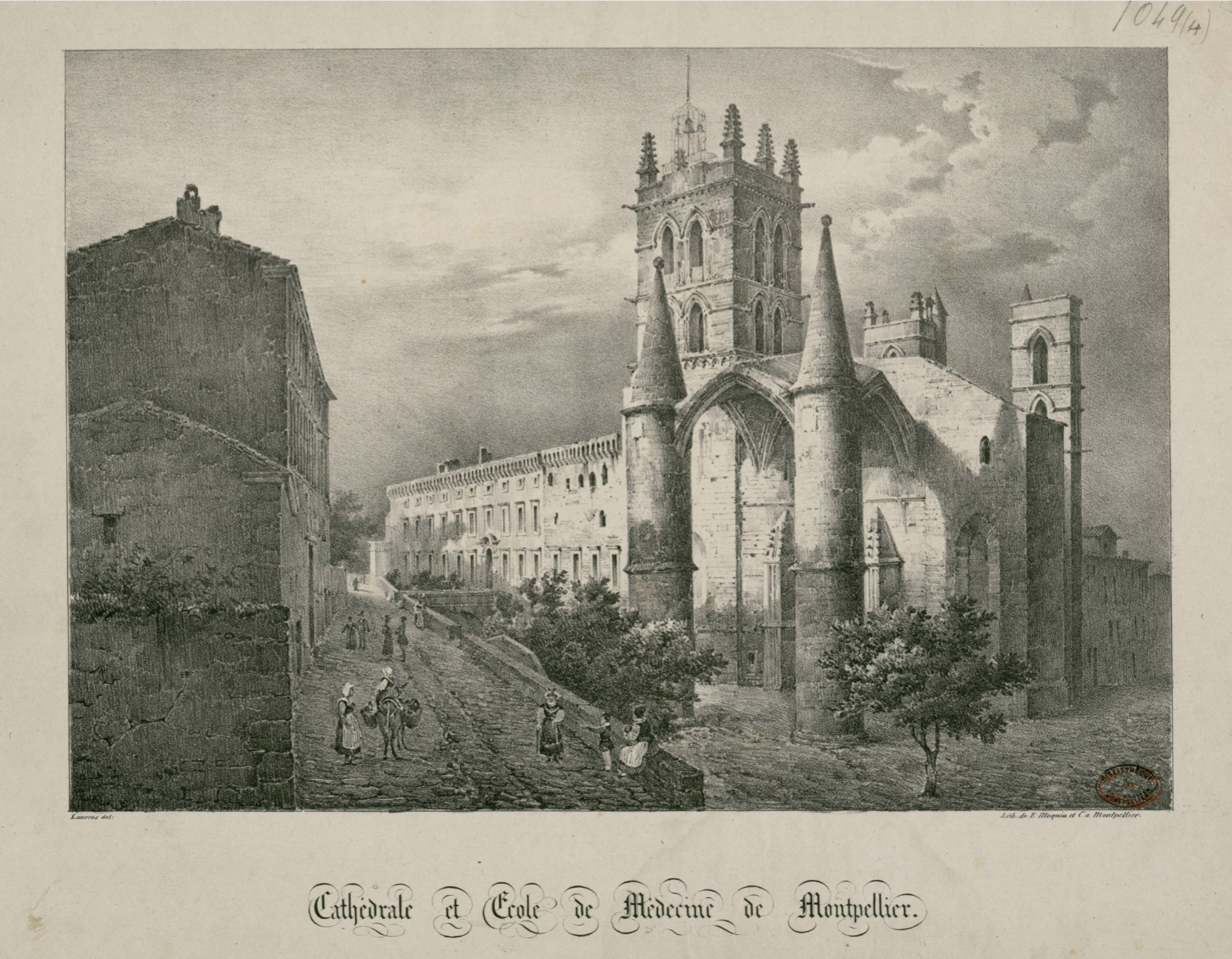 Cathédrale et école de médecine de Montpellier