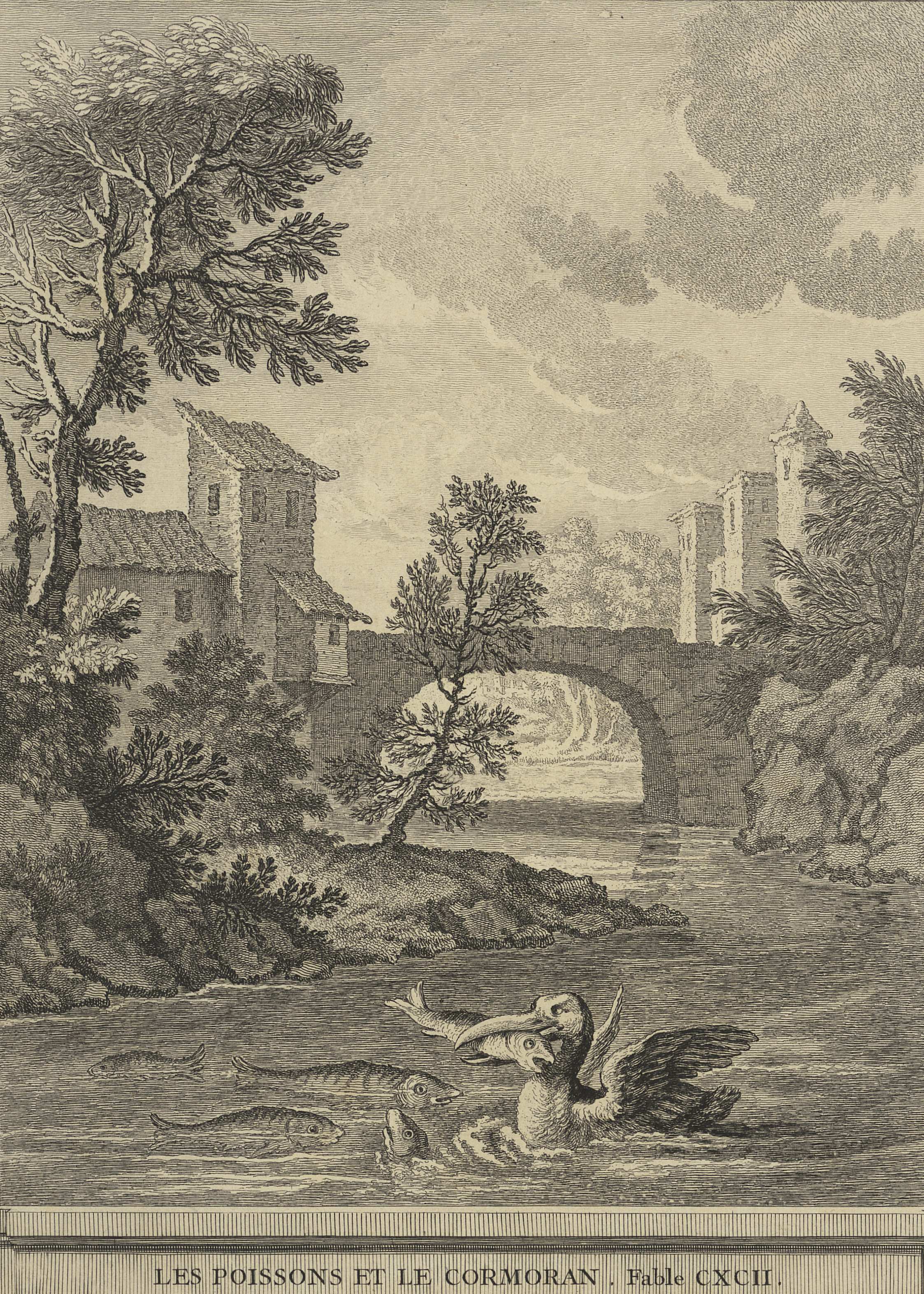 gravure noir gravure noir et blanc poisson et cormoran la fontaine